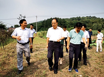 趙振華實(shí)地調(diào)研六國扶貧項(xiàng)目時(shí)要求    努力做強(qiáng)做優(yōu)集體產(chǎn)業(yè)   帶動(dòng)更多群眾脫貧致富